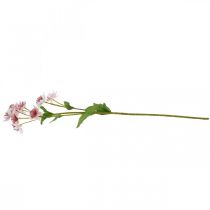 Artikel Große Sterndolde, künstliche Astrania, Seidenblume Weiß, Pink L61cm