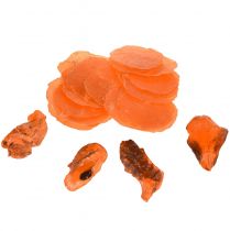 Austern Muscheln Capizscheiben im Netz Orange 3,5–9,5cm 2St