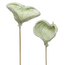 Artikel Badam am Stiel Naturdeko Grün Weiß gewaschen 25 St