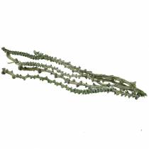 Artikel Banana Stem Dekoast Grün, weiß gewaschen 20 St