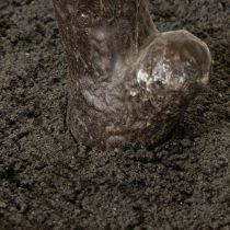 Artikel Künstlicher Baum aus Kunststoff und Seide 120 cm für den Innenbereich