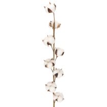 Artikel Künstlicher Baumwollzweig mit echten Baumwollblüten 78cm Braun-Weiß