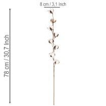 Artikel Künstlicher Baumwollzweig mit echten Baumwollblüten 78cm Braun-Weiß