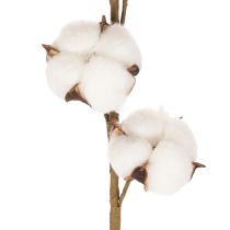 Artikel Künstlicher Baumwollzweig mit echten Baumwollblüten 78cm Braun-Weiß