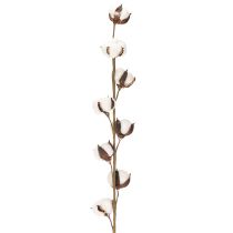 Artikel Künstlicher Baumwollzweig mit echten Baumwollblüten 78cm Braun-Weiß
