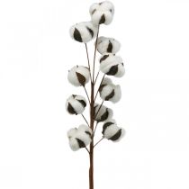 Baumwollzweig Naturdeko 10 Köpfe am Draht Baumwolle Deko 68cm