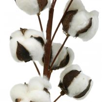 Baumwollzweig Naturdeko 10 Köpfe am Draht Baumwolle Deko 68cm