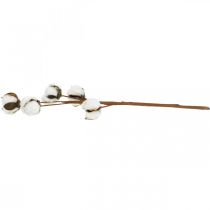 Artikel Baumwollzweig Deko Echte Baumwolle Dekozweig 5 Köpfe 50cm