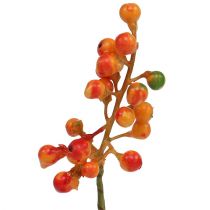 Beerenbund Orange L20cm