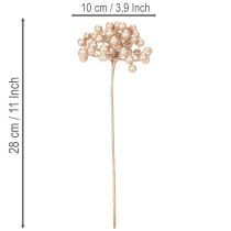 Artikel Künstlicher Beerenzweig aus Kunststoff Champagnerfarben 28 cm 3 Stück