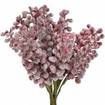 Beerenpick Rot, geeist 21cm 12St