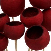 Bell Cup Mix am Stiel Dunkelrot 15St