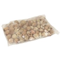 Artikel Bellgum Glockenfrucht Kapselfrucht Naturdeko Braun 500g