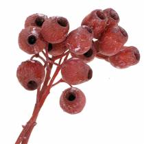 Artikel Bellgum Zweig 5cm - 7cm Rot gefrostet 20 St