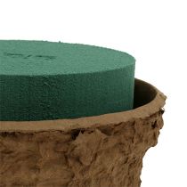 Artikel Nass Steckschaum Schale für Blumen Gestecke Ø18cm 2 St