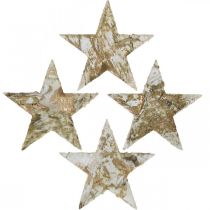 Artikel Deko Stern Birkenrinde Birkensterne Natur, Golden 6,5cm 30 St