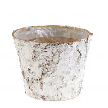 Artikel Blumentopf Birkenrinde geweißt Ø15cm H12,5cm 3 Stück