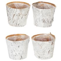 Artikel Pflanzentopf aus Birkenrinde weiß 12 cm 4er-Set