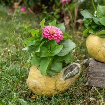 Artikel Birne zum Bepflanzen, Herbstdeko, Beton-Gefäß L19cm H15,5cm