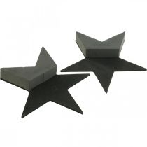Artikel OASIS® Black Bioline® Steckschaum Stern Schwarz, H 30 cm, 2 Stück
