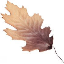 Roteichenblatt Herbstblätter Deko Blätter Deko 13×19cm 12St