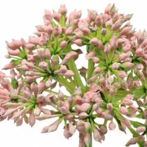 Artikel Allium künstlich Rosa 55cm