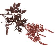 Artikel Künstliche Astilbe 80cm Rotbraun Kunststoff für Innenbereich