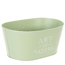 Artikel Blumenschale oval Zink Mintgrün 27x18cm H12,5cm