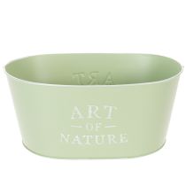 Artikel Blumenschale oval Zink Mintgrün 27x18cm H12,5cm