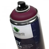 OASIS® Easy Colour Spray, Lack-Spray Erika 400ml