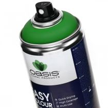 Easy Colour Spray, Lack-Spray Grün, Frühlingsdeko 400ml