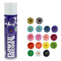 Blumenspray Flower Decor verschiedene Farben 400ml