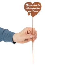 Artikel Blumenstecker Herz mit Spruch 10 cm Edelrost Metall Gartendekoration 6 Stück