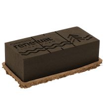 Artikel Blumensteckschaum OASIS® Renewal® Biolit® 1/1 Ziegel, braun, 24 × 13 × 8 cm, 2 Stück