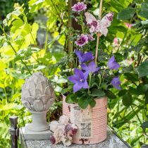 Artikel Blumentopf Deko Dose Lachs Metall Pflanzeimer Ø15,5cm H15cm