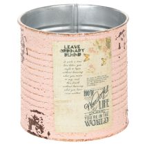 Artikel Blumentopf Deko Dose Lachs Metall Sommerdeko Ø11cm H10,5cm