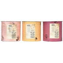 Artikel Blumentopf Dose Aluminium 15cm Pastellfarben Vintage Design 3er-Set für Innenbereich