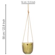 Artikel Hängedeko Blumentopf aus Glas, Lila und Grün, Ø14cm, 2 Stück