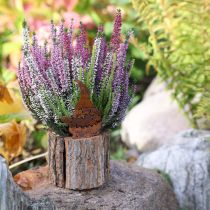 Artikel Runder Holz Blumentopf mit Rost Wichtel für Kräuter und kleine Pflanzen