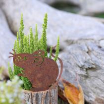 Artikel Blumentopf Holz Übertopf mit Rinde und Metall-Maus 24cm