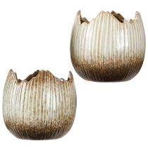 Artikel Blumentopf Keramik Ei Zerbrochen Creme Braun Ø11,5cm 2 St