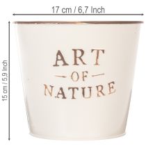 Artikel Blumentopf Metall Creme Ø17,5 cm H15 cm Art of Nature Creme