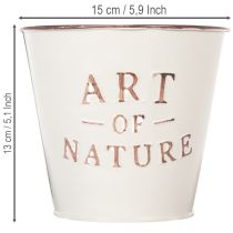 Artikel Blumentopf aus Zink Creme Ø15cm H13,5cm mit Prägung Art of Nature für Innen- und Außendekoration