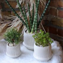 Blumentopf Keramik Übertopf mit Rillen Weiß Ø12cm H10,5cm