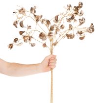 Artikel Bohnenblütenzweig aus Kunststoff Metallic Champagner 80cm 3er-Set