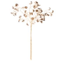 Artikel Bohnenblütenzweig aus Kunststoff Metallic Champagner 80cm 3er-Set