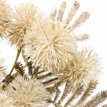 Kunstpflanzen Distel Creme Drylook Kugeldistel 33cm 3St