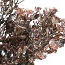 Artikel Kunstpflanzen Braun Herbstdeko Winterdeko Drylook 38cm 3 St