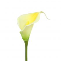 Artikel Künstliche Calla Gelb 57cm 12St