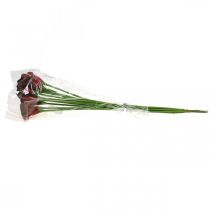 Artikel Calla Bund Kunstblumen Rot Bordeaux 57cm 12 Stück